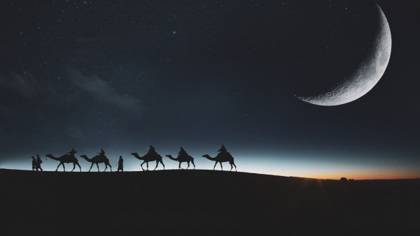 Traveling through desert on camels