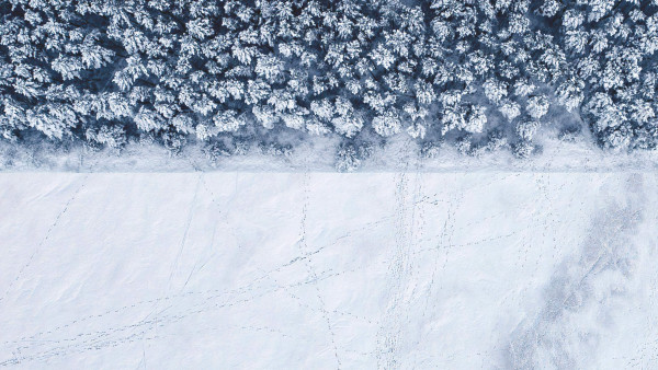 Winter landscape seen from a drone