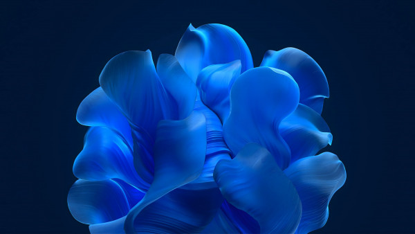 The blue petals