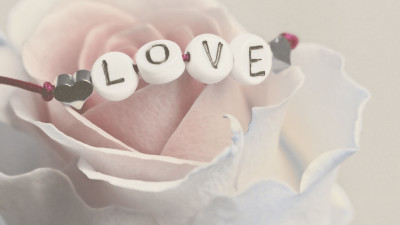 Love bracelet on a white rose