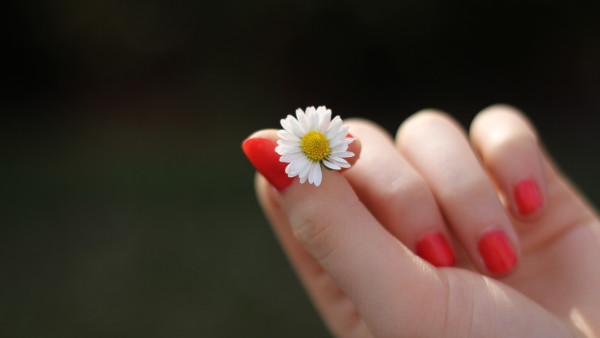 Girl with red nails and a daisy flower