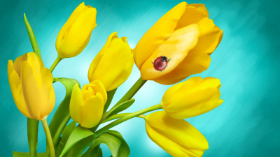 Ladybird on yellow tulips