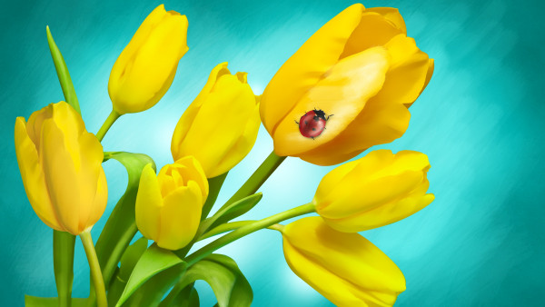 Ladybird on yellow tulips