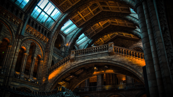 Inside of Natural History Museum from London