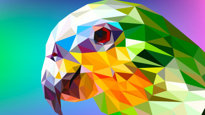 Low Poly Illustration: Parrot