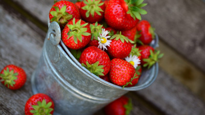 Bucket with strawberries