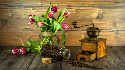 Red tulips and coffee grains