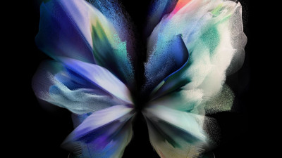 The butterfly from Samsung Galaxy Z Fold 3