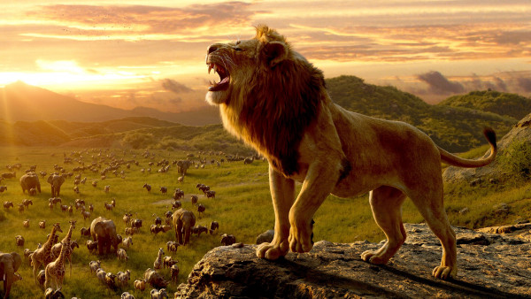 Simba, the lion king