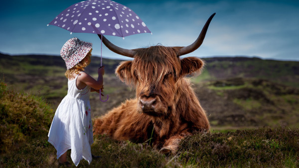 Child with the umbrella and the funny cow