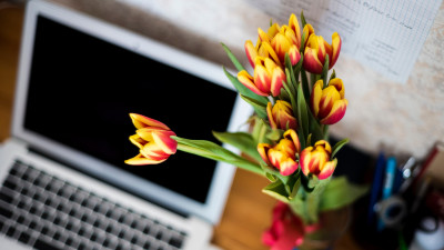 Laptop and tulips bouquet
