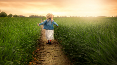 Child in the green field at sunset
