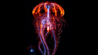 Luminous jellyfish