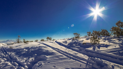 Sunny day in this Winter landscape