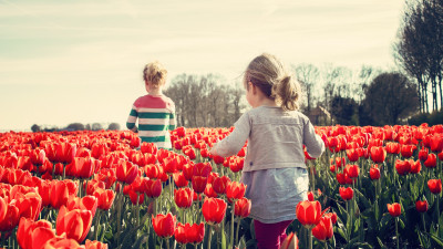 Children in the land with tulips