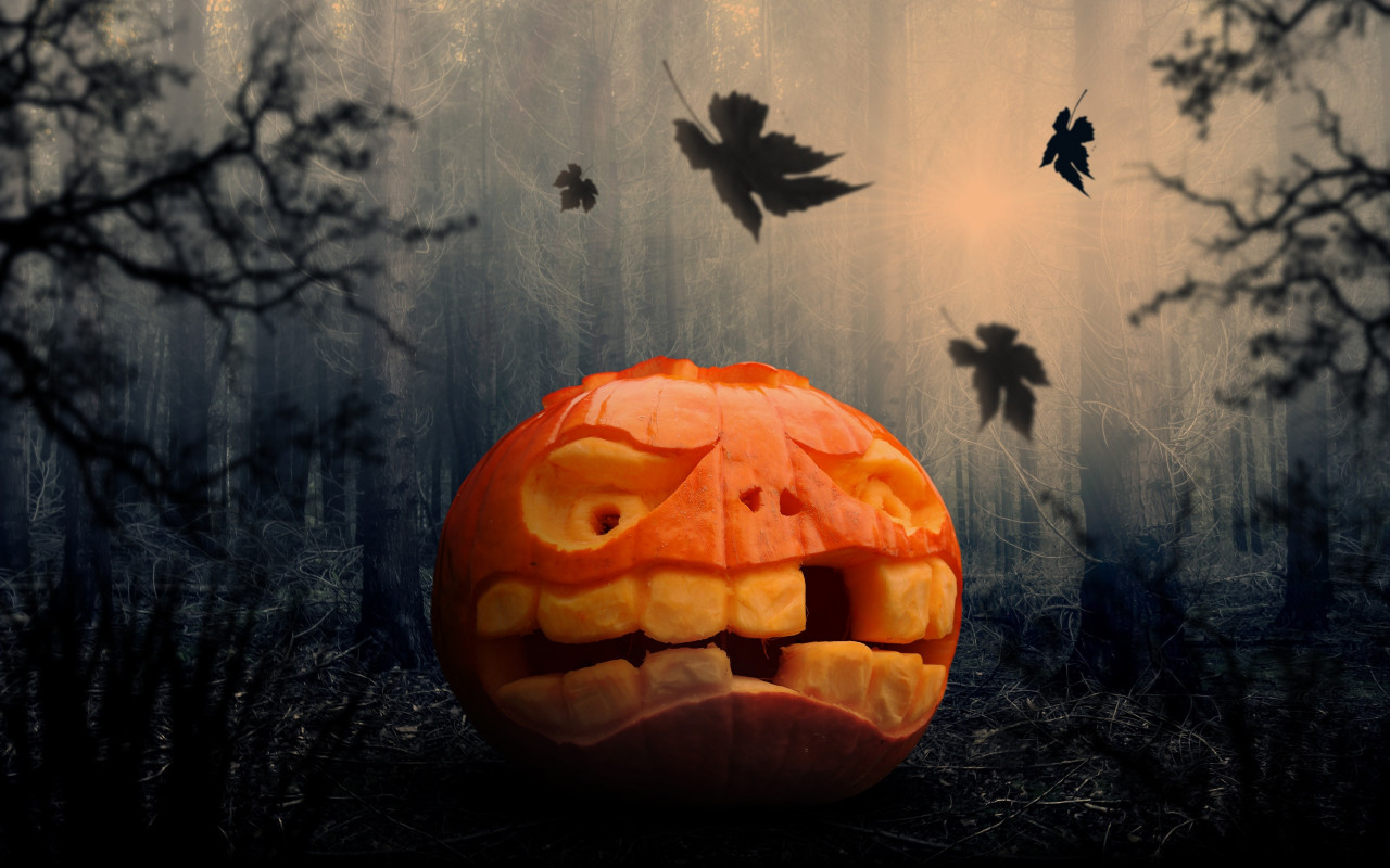 Halloween pumpkin wallpaper 1280x800