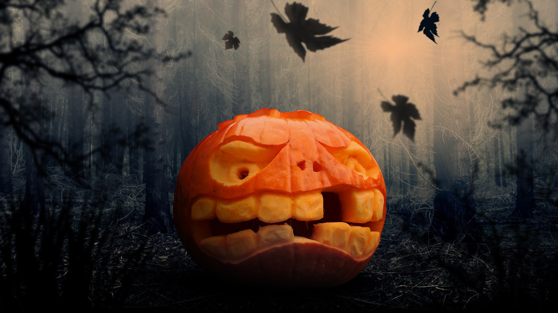 Halloween pumpkin wallpaper 1600x900