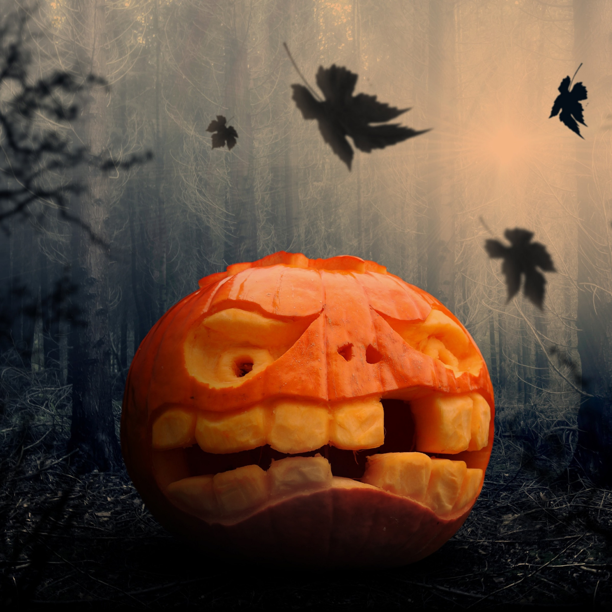 Halloween pumpkin wallpaper 2048x2048