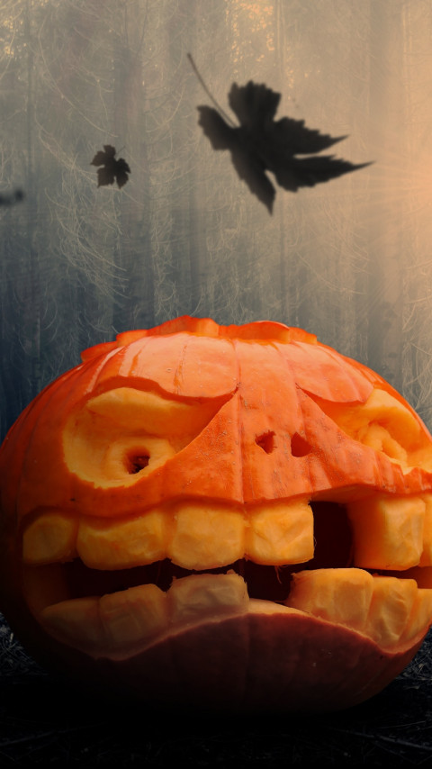 Halloween pumpkin wallpaper 480x854