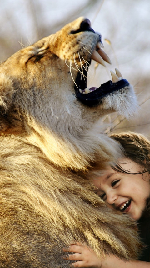 Best friends: lionking and the child wallpaper 480x854