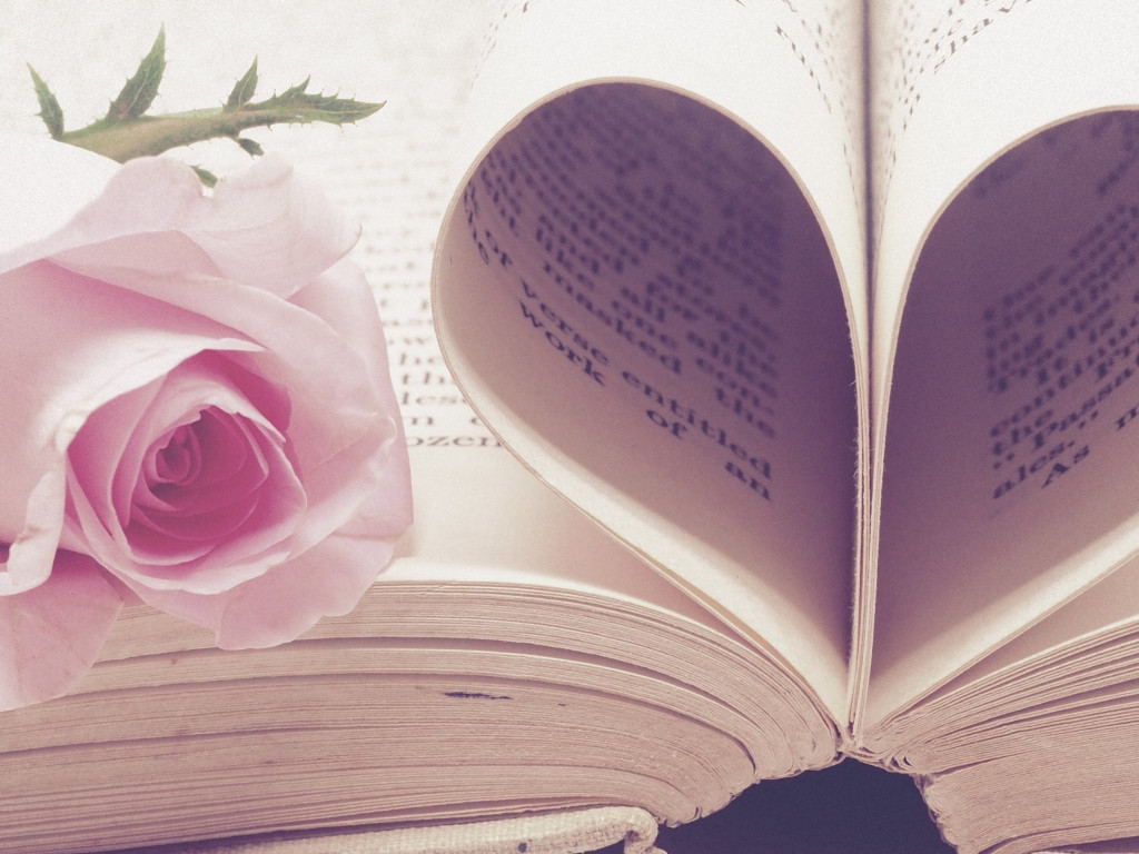 Rose flower and love book wallpaper 1024x768
