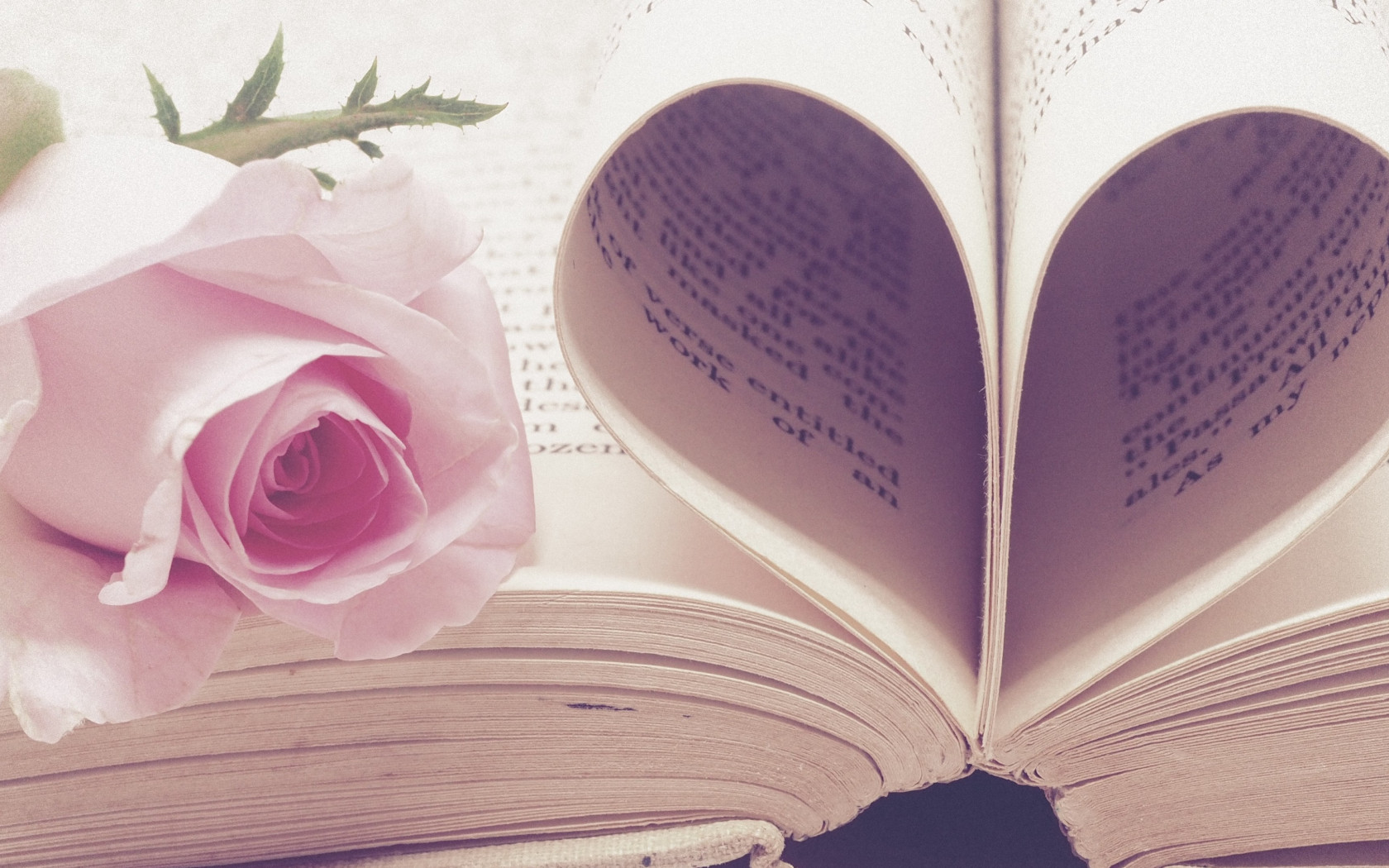 Rose flower and love book wallpaper 1680x1050