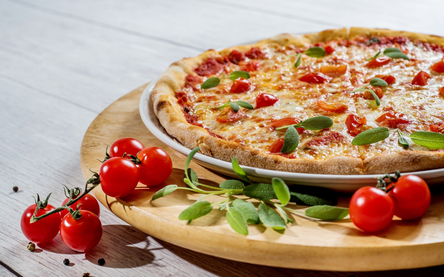 Pizza with cheese and tomatoes wallpaper 1440x900