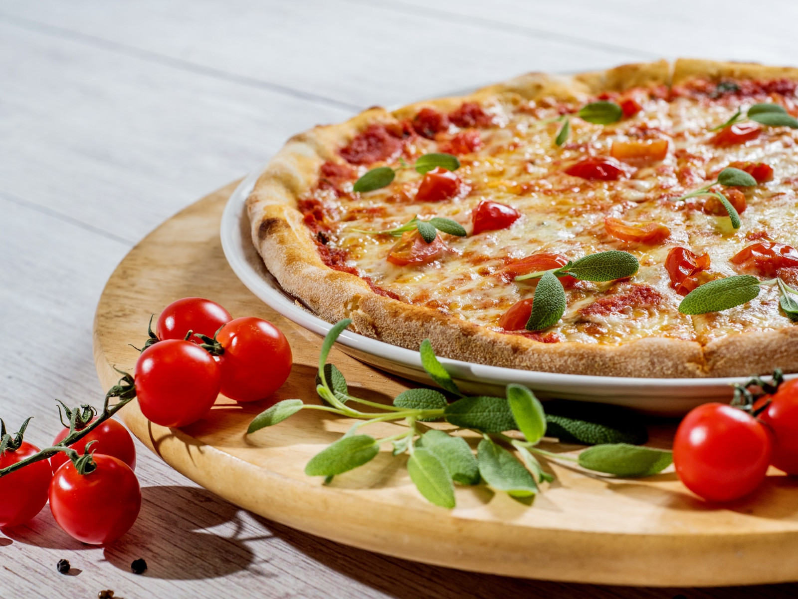 Pizza with cheese and tomatoes wallpaper 1600x1200