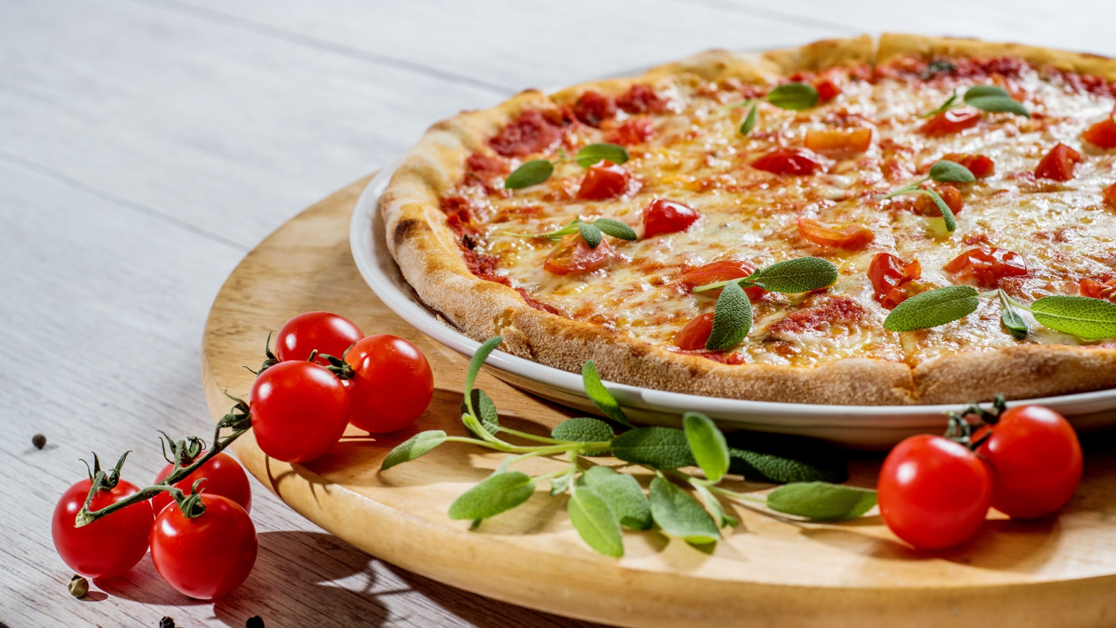 Pizza with cheese and tomatoes wallpaper 1600x900