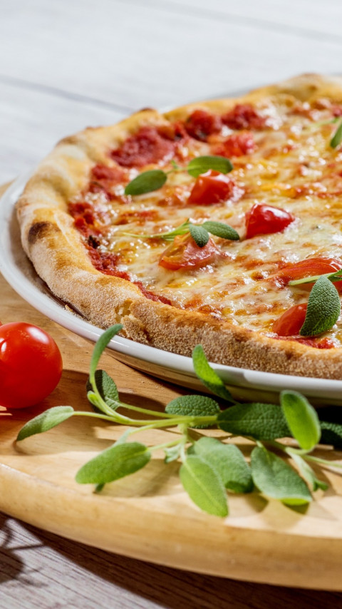 Pizza with cheese and tomatoes wallpaper 480x854