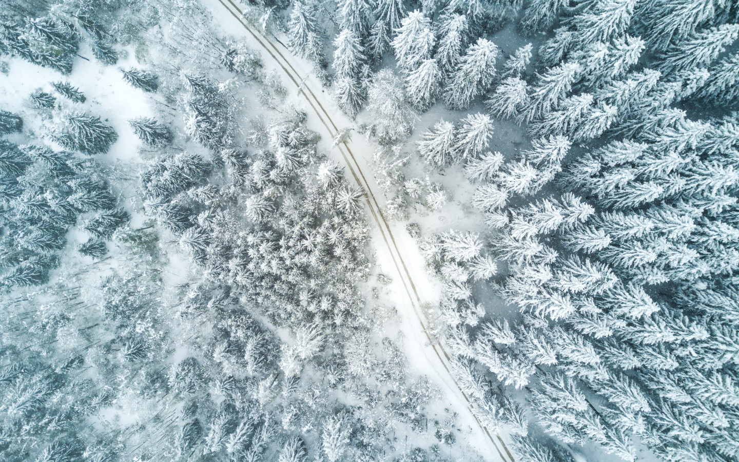 Aerial Winter landscape wallpaper 1440x900