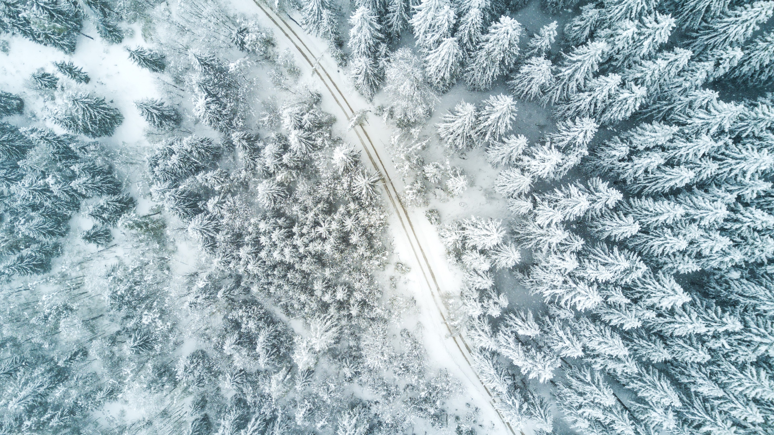 Aerial Winter landscape wallpaper 2560x1440