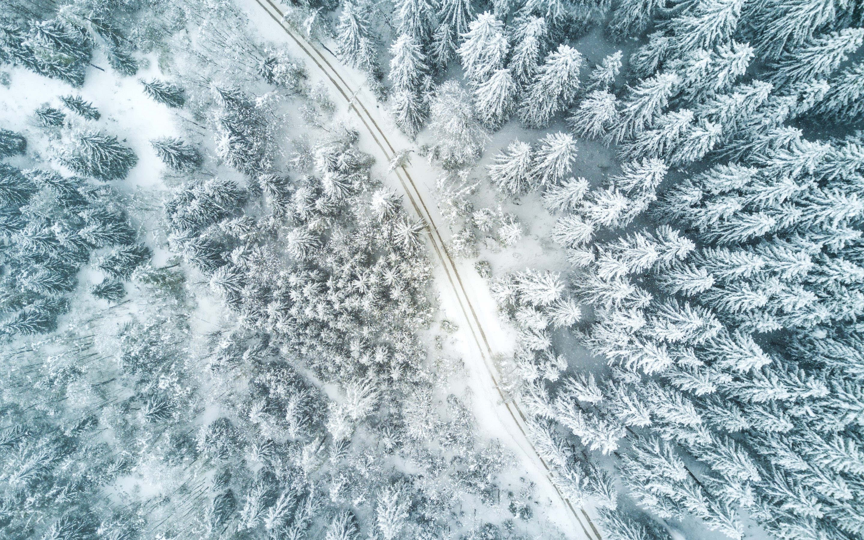 Aerial Winter landscape wallpaper 2880x1800