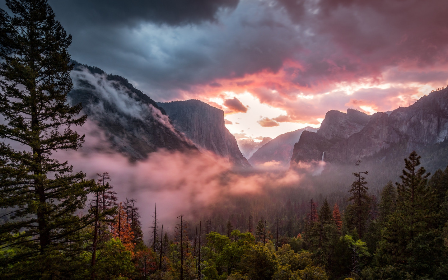 Landscape from Yosemite National Park wallpaper 1440x900