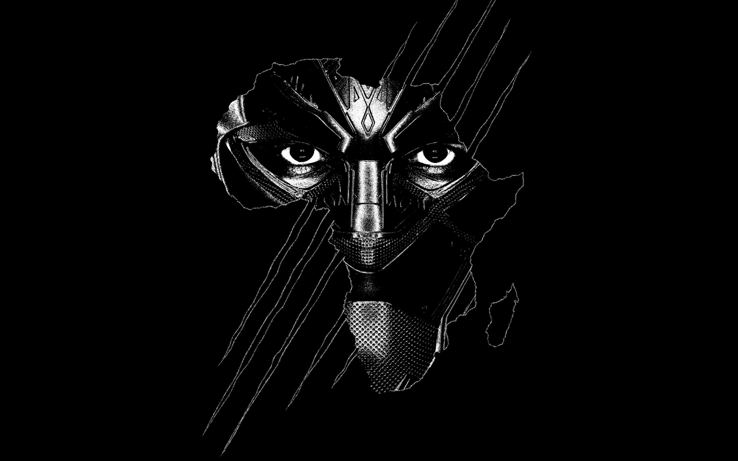 Black Panther wallpaper 2560x1600