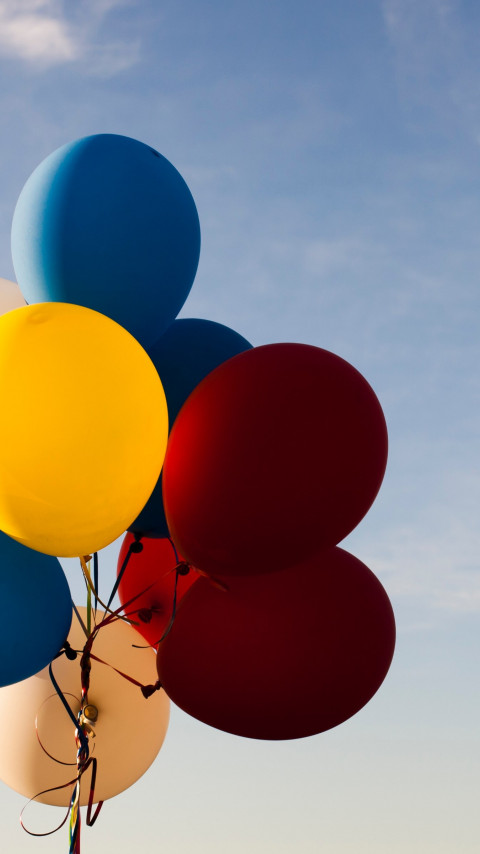 Colored balloons wallpaper 480x854