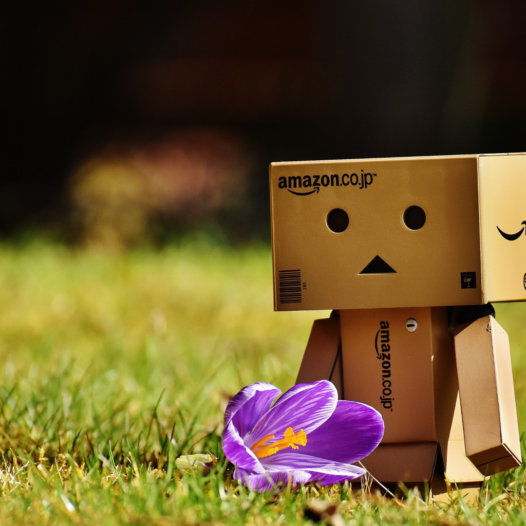 Danbo is enjoying of Spring wallpaper 1024x1024