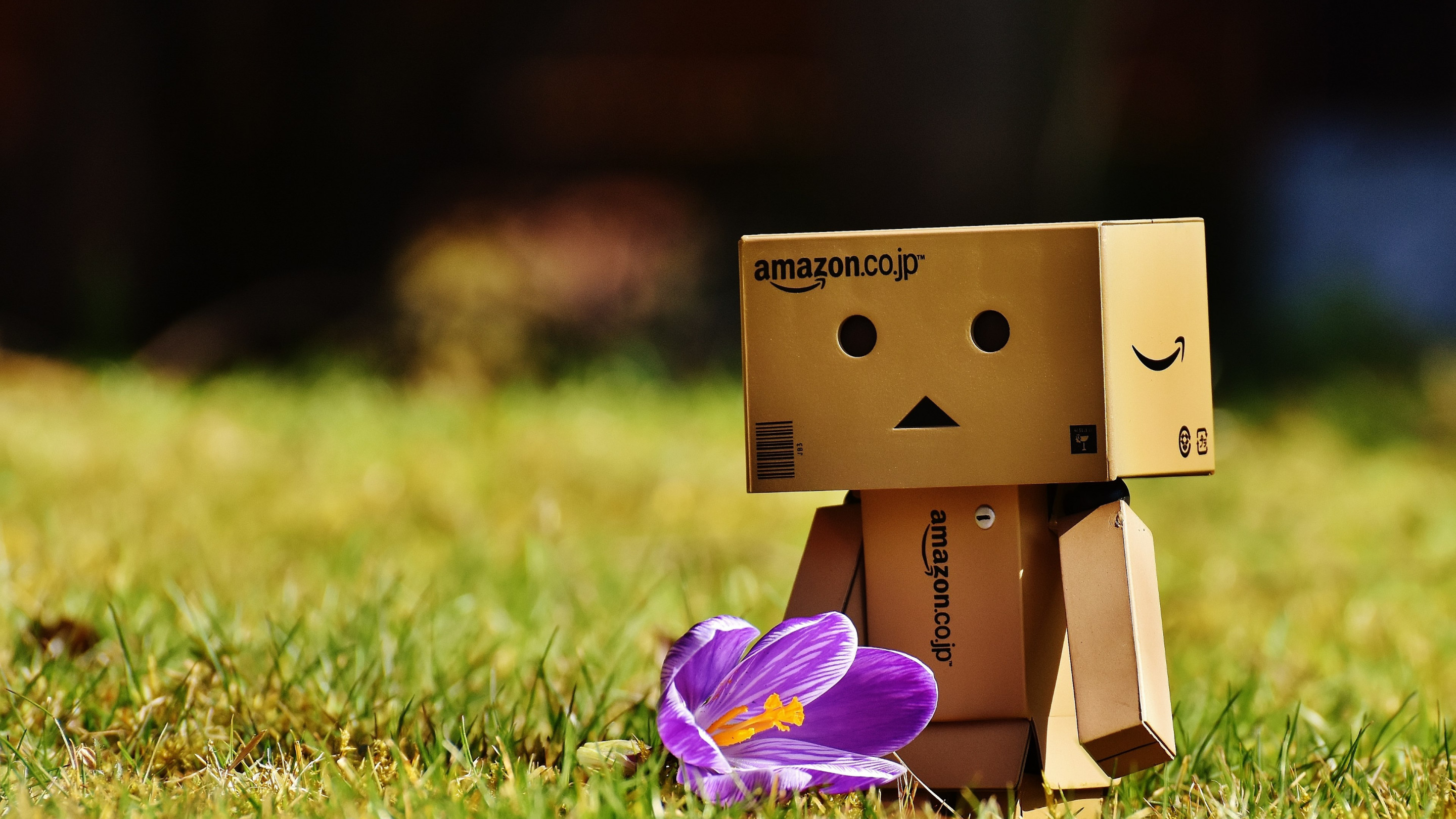 Danbo is enjoying of Spring wallpaper 2880x1620