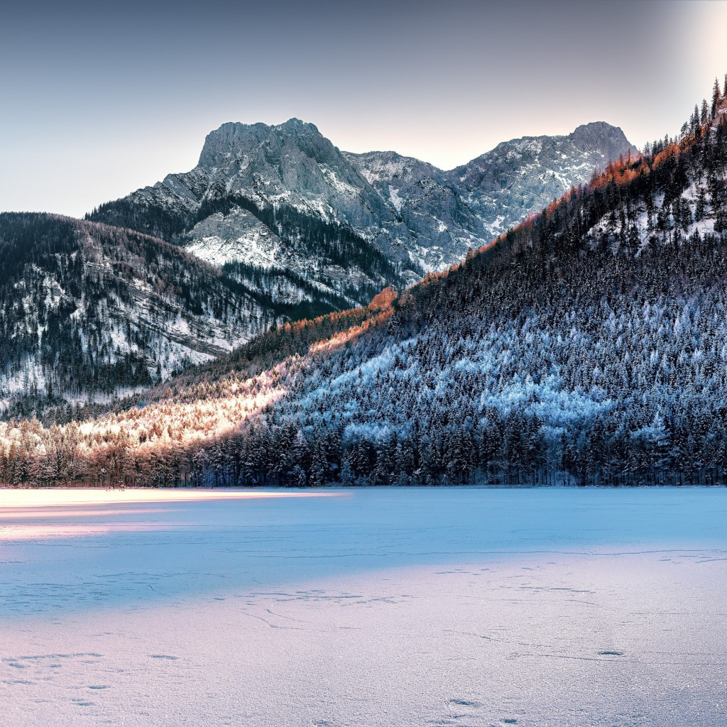 Dreamy Winter landscape wallpaper 1024x1024