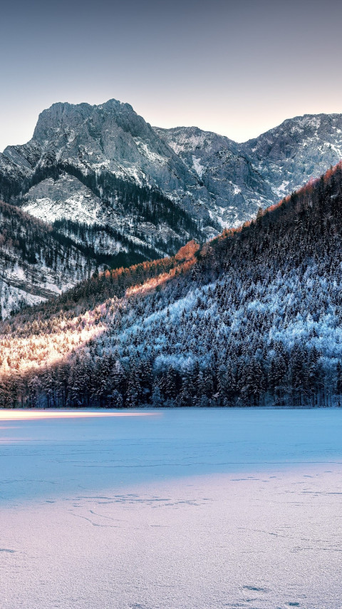 Dreamy Winter landscape wallpaper 480x854