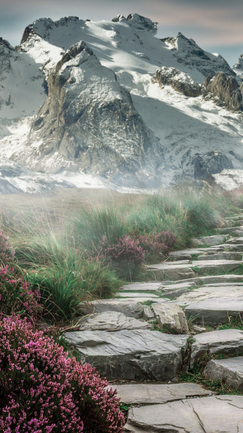 Surreal mountain landscape wallpaper 480x854