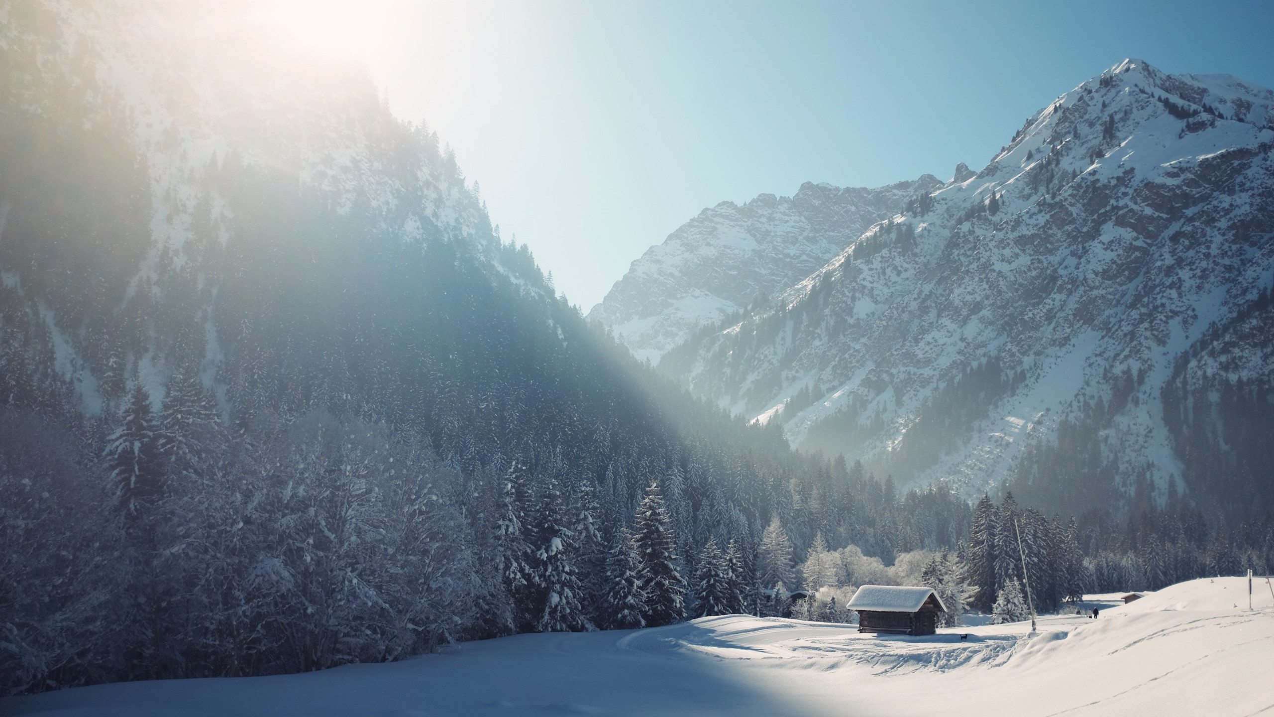 Download wallpaper: Cottage in Winter landscape 2560x1440