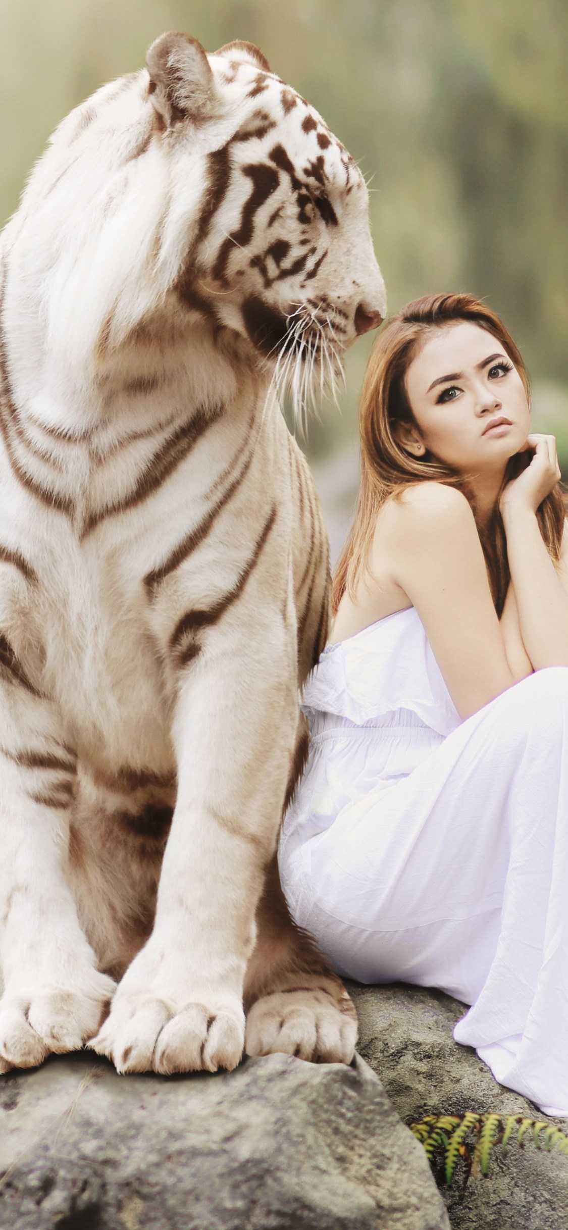 Bengal tiger and a beautiful girl wallpaper 1125x2436
