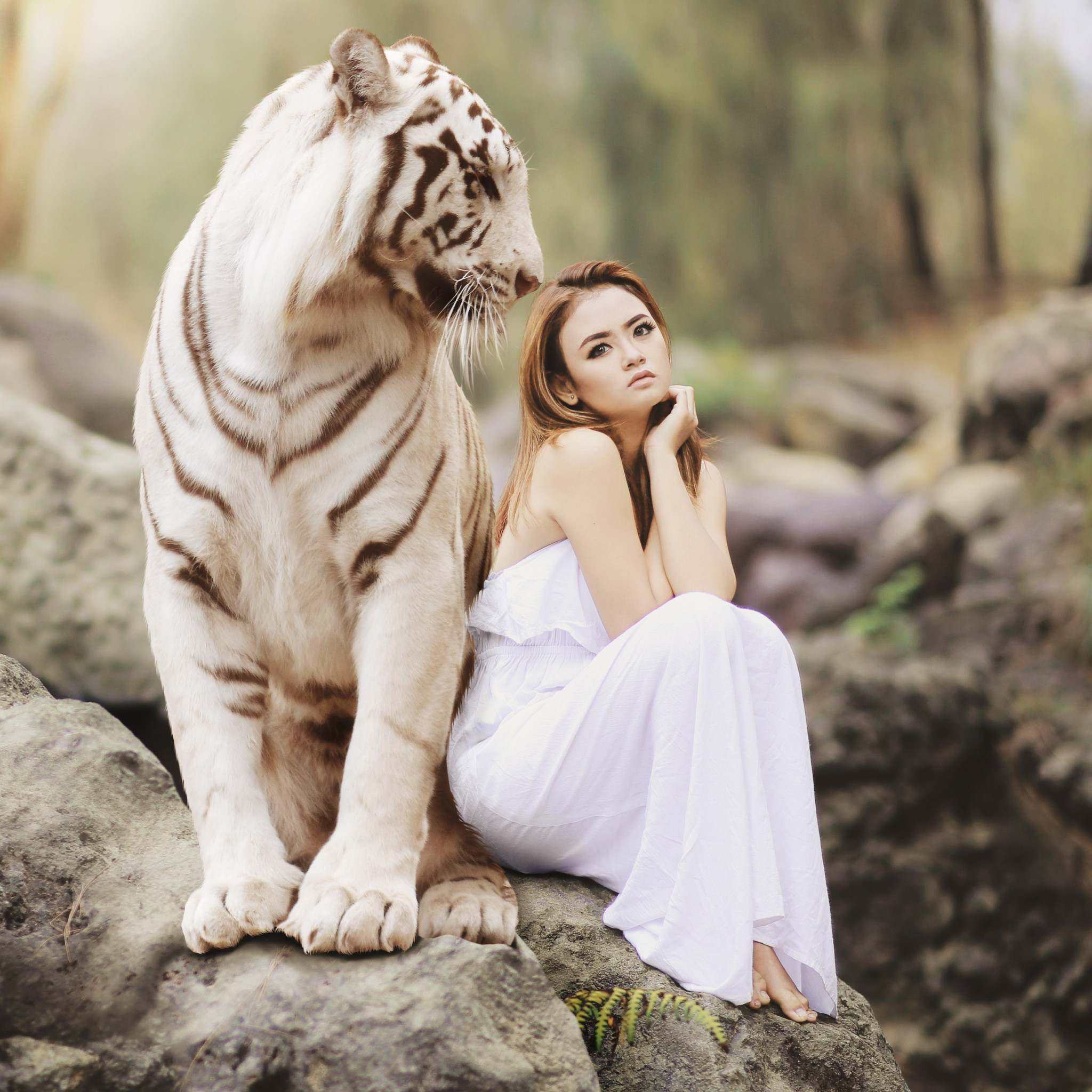 Bengal tiger and a beautiful girl wallpaper 2048x2048