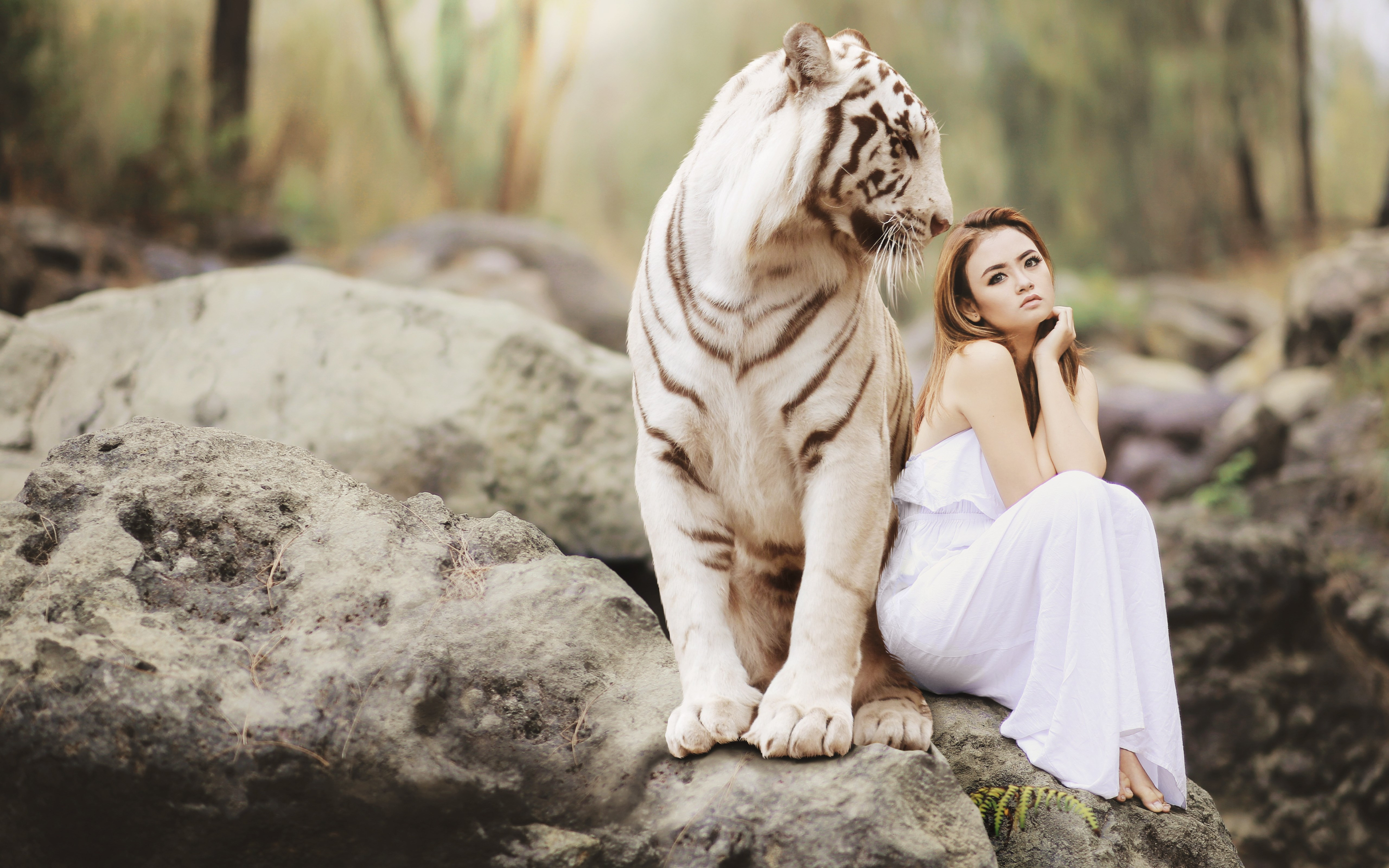 Bengal tiger and a beautiful girl wallpaper 5120x3200
