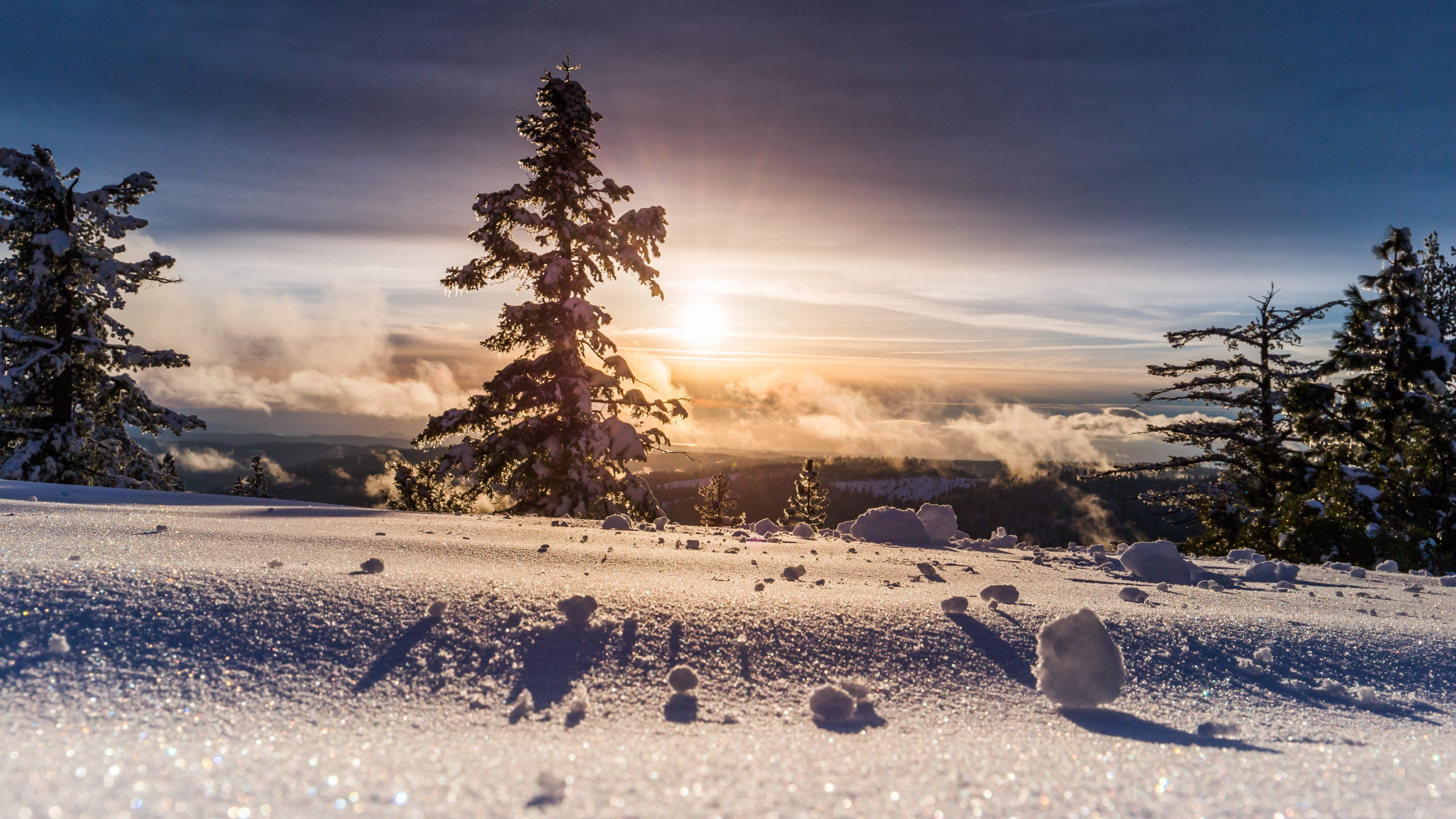 Perfect Winter view wallpaper 2560x1440
