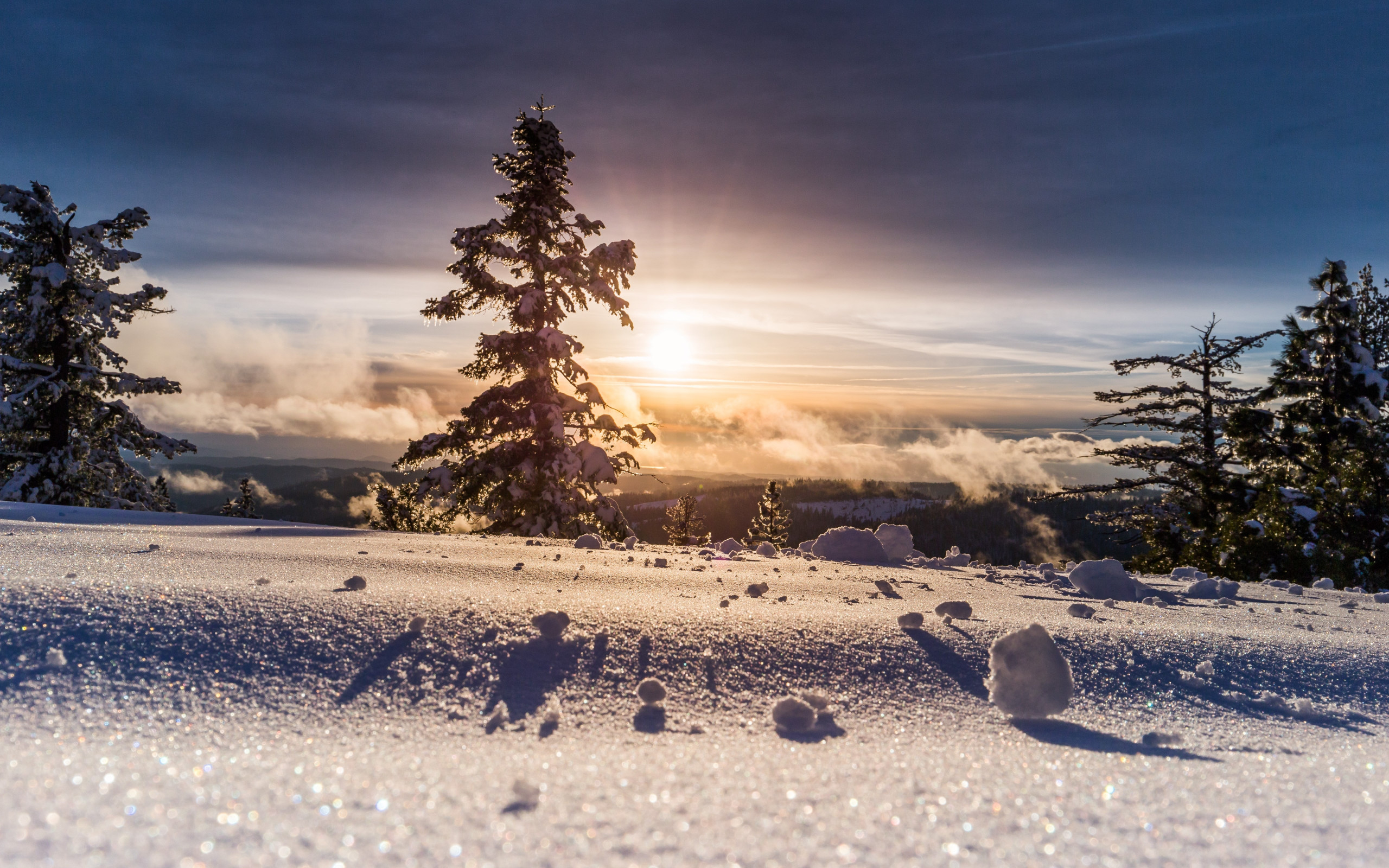 Perfect Winter view wallpaper 2560x1600