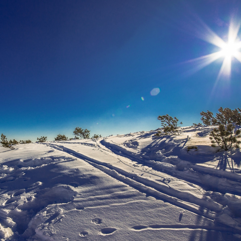 Sunny day in this Winter landscape wallpaper 1024x1024