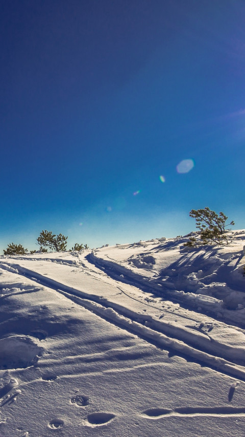 Sunny day in this Winter landscape wallpaper 480x854