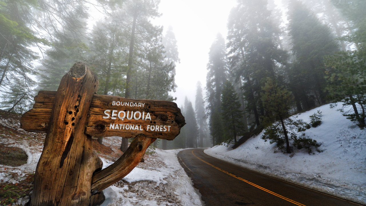 Sequoia National Park wallpaper 1280x720